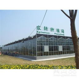 陽泉四季恒溫攝影基地玻璃溫室大棚工程中的計算機(jī)軟件設(shè)計